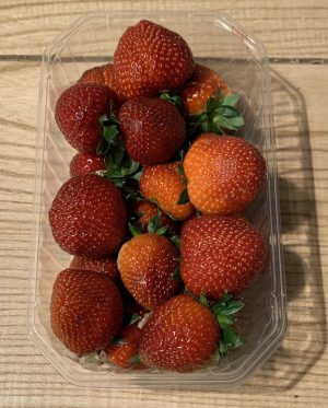 MEDIUM STRAWBERRY PUNNET