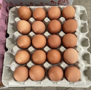 EXTRA LARGE TRAY of EGGS