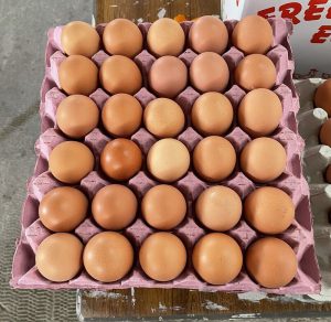 LARGE TRAY of EGGS